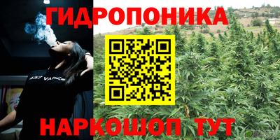 гашик Бузулук