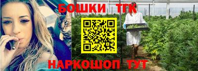 шишки Будённовск
