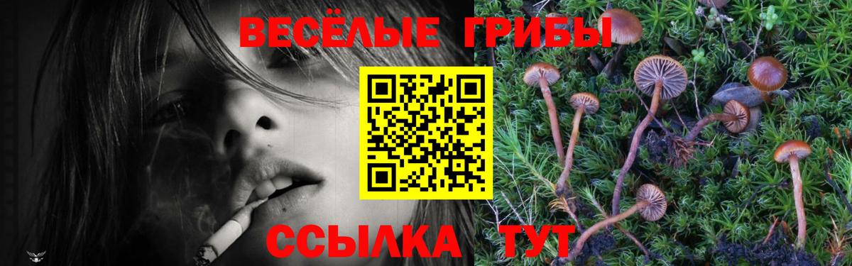Псилоцибиновые грибы Magic Shrooms Рославль